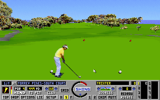 Links - The Challenge of Golf Microsoft Windows PC CD-PC Gamez USA