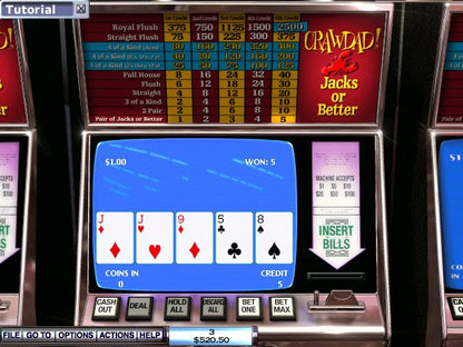 Hoyle Casino 2004 Microsoft Windows PC CD-PC Gamez USA