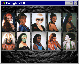 CatFight The Ultimate Female Fighting Game Microsoft Windows PC CD-PC Gamez USA