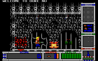 Duke Nukem II Microsoft Windows PC CD-PC Gamez USA