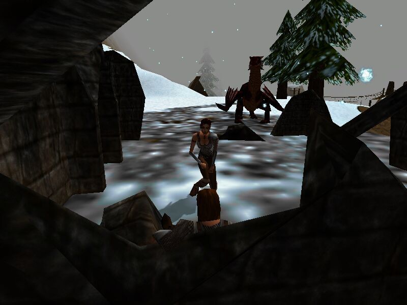 Drakan Order of the Flame Microsoft Windows PC CD-PC Gamez USA