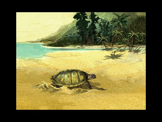 Robinson Crusoe Microsoft Windows PC CD-PC Gamez USA