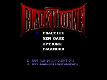 Blackthorne Microsoft Windows PC CD-PC Gamez USA