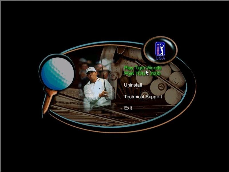 Tiger Woods PGA Tour 2000 Microsoft Windows PC CD-PC Gamez USA
