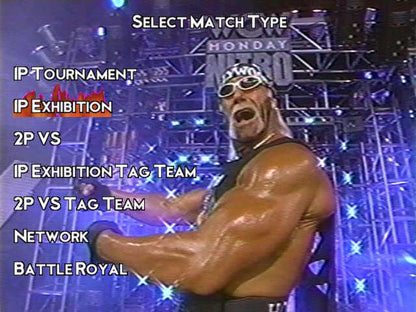 WCW Nitro Microsoft WIndows PC CD-PC Gamez USA