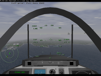 Jet Fighter Full Burn Disc 1-4 Microsoft Windows PC CD-PC Gamez USA