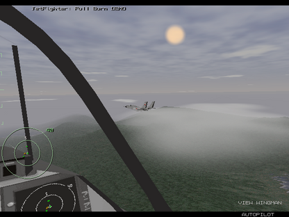 Jet Fighter Full Burn Disc 1-4 Microsoft Windows PC CD-PC Gamez USA