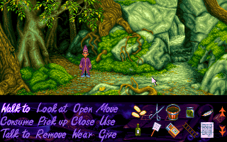 Simon the Sorcerer Microsoft Windows PC CD-PC Gamez USA