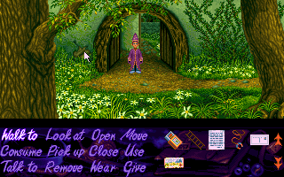Simon the Sorcerer Microsoft Windows PC CD-PC Gamez USA