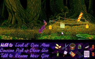 Simon the Sorcerer Microsoft Windows PC CD-PC Gamez USA