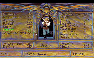 Quest for Glory Shadows of Darkness Microsoft Windows PC CD-PC Gamez USA