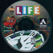 The Game Of Life Microsoft Windows PC CD-PC Gamez USA