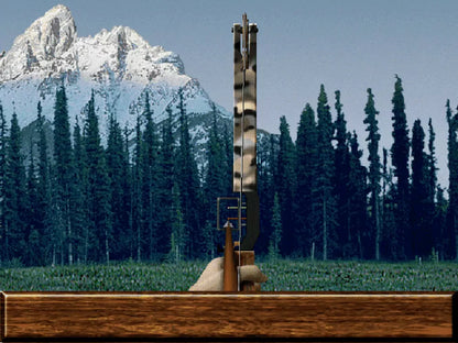 Rocky Mountain Trophy Hunter Alaskan Expedition Microsoft Windows PC CD-PC Gamez USA