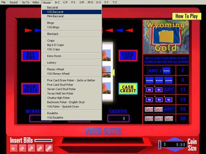 Vegas JackPot Gold 250 Casino Games Microsoft Windows PC CD-PC Gamez USA