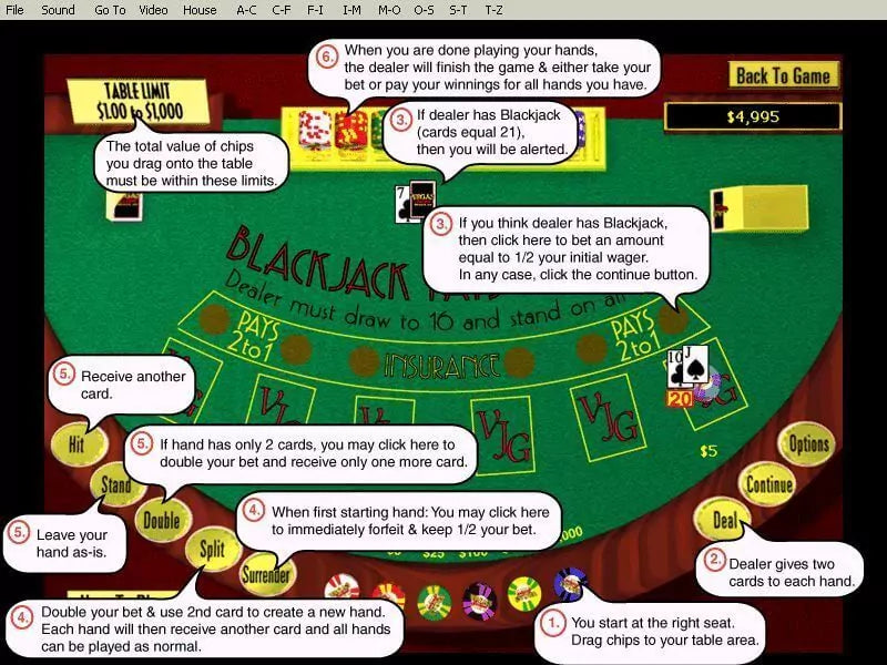 Vegas JackPot Gold 250 Casino Games Microsoft Windows PC CD-PC Gamez USA